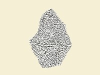 陶片藏品圖，第2張