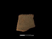 陶片藏品圖，第1張