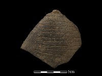 陶片藏品圖，第2張