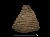 陶片藏品圖，第1張