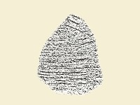 陶片藏品圖，第1張