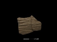 陶片藏品圖，第1張