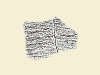 陶片藏品圖，第2張