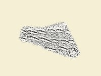 陶片藏品圖，第2張