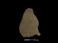 陶片藏品圖，第2張