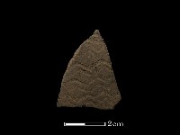 陶片藏品圖，第2張