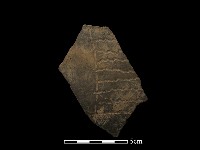 陶片藏品圖，第2張