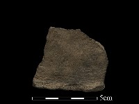 陶片藏品圖，第3張