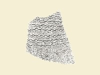 陶片藏品圖，第2張