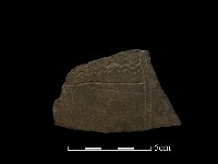 陶片藏品圖，第2張