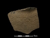 陶片藏品圖，第2張