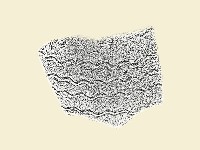 陶片藏品圖，第1張