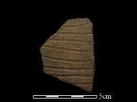 陶片藏品圖，第1張