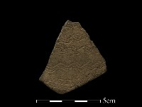 陶片藏品圖，第1張