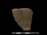 陶片藏品圖，第1張