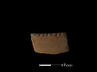 陶片藏品圖，第2張