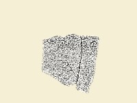 陶片藏品圖，第2張