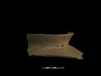 陶片藏品圖，第4張