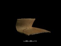 陶片藏品圖，第6張