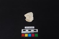 貝刮器藏品圖，第2張