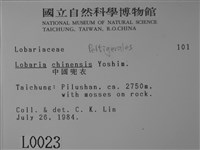 中國兜衣藏品圖，第2張