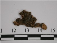 橡皮兜衣藏品圖，第5張