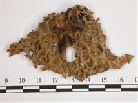 劍形兜衣藏品圖，第1張