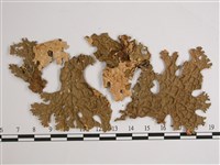 劍形兜衣藏品圖，第1張