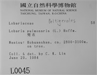 兜衣藏品圖，第2張