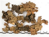 兜衣藏品圖，第1張