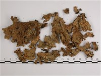 兜衣藏品圖，第1張