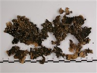 兜衣藏品圖，第3張