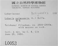 兜衣藏品圖，第2張