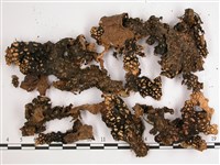 兜衣藏品圖，第3張