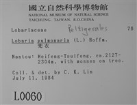 兜衣藏品圖，第2張