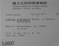 吉本氏兜衣藏品圖，第2張