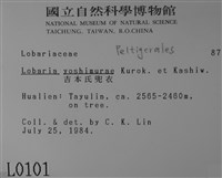 吉本氏兜衣藏品圖，第2張