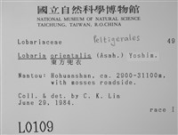 東方兜衣藏品圖，第2張