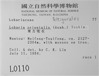 東方兜衣藏品圖，第2張