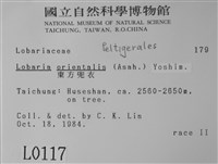 東方兜衣藏品圖，第2張