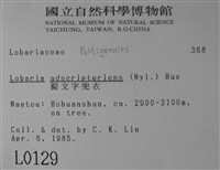 擬文字兜衣藏品圖，第2張