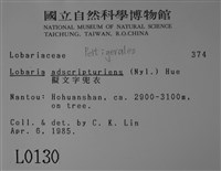 擬文字兜衣藏品圖，第2張