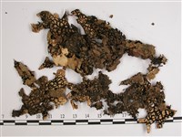 中國兜衣藏品圖，第3張