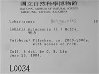 中國兜衣藏品圖，第2張