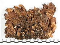 中國兜衣藏品圖，第1張