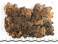 中國兜衣藏品圖，第3張