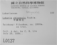 中國兜衣藏品圖，第2張