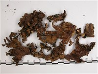 中國兜衣藏品圖，第1張
