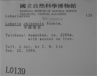 中國兜衣藏品圖，第2張