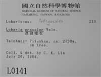 厚兜衣藏品圖，第2張